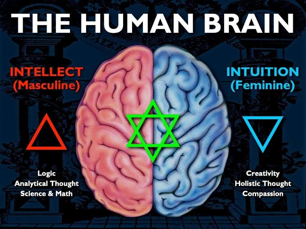 Semnificația Părții Drepte a Corpului și Emisferei Stângi a Creierului