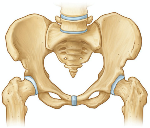Bazinul și cauzele emoționale ale lui