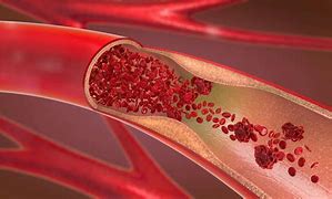 Circulația sanguină