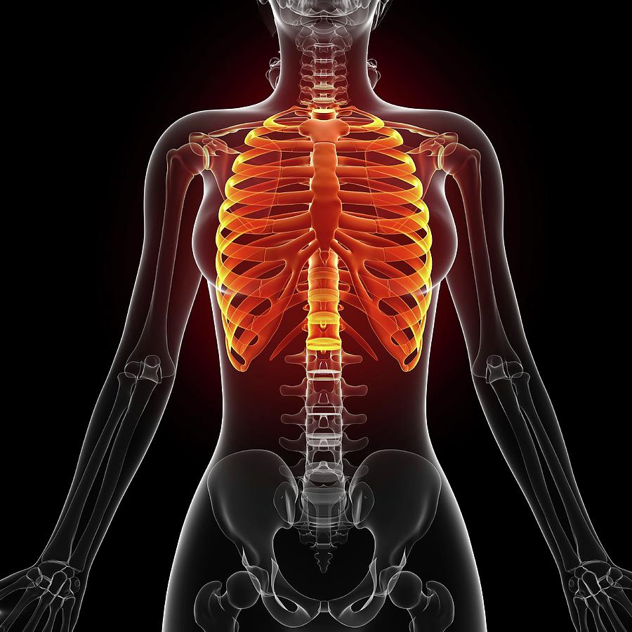 Coastele și Vulnerabilitatea Emoțională