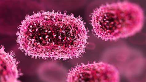 Herpes Genital sau Herpes Vaginal