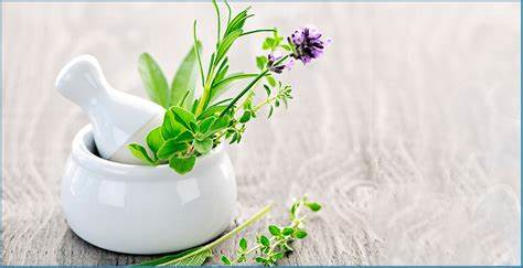 Plantele medicinale „miraculoase”