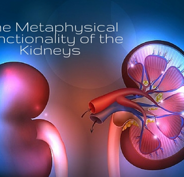 Rinichii si legătura lor cu emoțiile